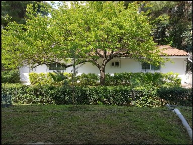 Studio / Γκαρσονιέρα, 60τ. μ.