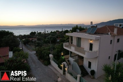 Μονοκατοικία, 300τ. μ.