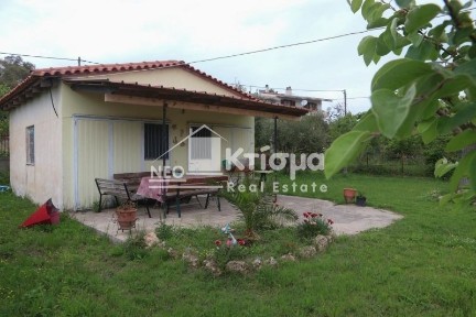 Μονοκατοικία, 40τ. μ.