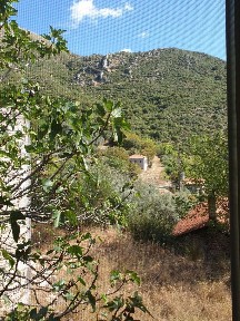 Μονοκατοικία, 60τ. μ.