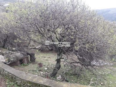 Μονοκατοικία, 200τ. μ.