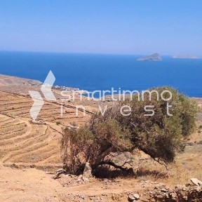 Σκύλος, Κύθνος (Κυκλάδες), Κύθνος