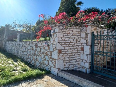 Θεολόγος, Μαλεσίνα (Φθιώτιδα), Φθιώτιδα, Μαλεσίνα