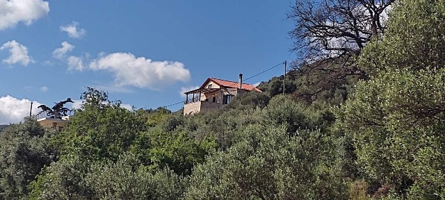 Μονοκατοικία, 100τ. μ.