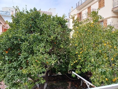 Διαμέρισμα, 75τ. μ.