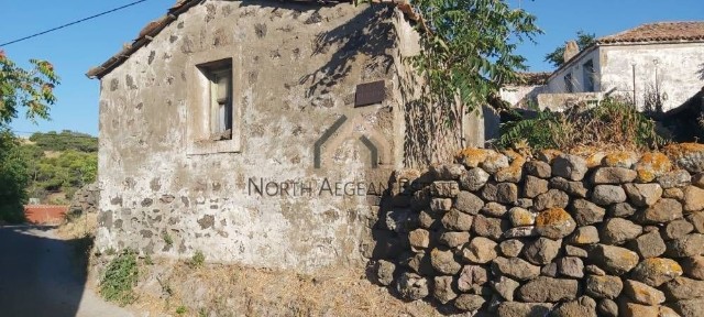 Διαμέρισμα, 54τ. μ.