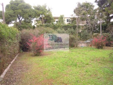 Διαμέρισμα, 220τ. μ.