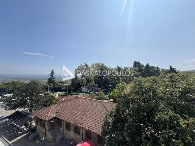 Άγιος Μηνάς, Νάουσα (Ημαθία)