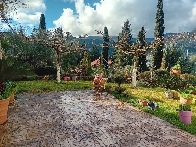Studio / Γκαρσονιέρα, 24τ. μ.