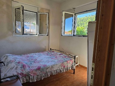 Κοιλιωμένος, Αρτεμίσιο (Ζάκυνθος), Επ. Οδός Μαχαιράδου-Αναφωνήτριας, Κοιλιωμένος 29092