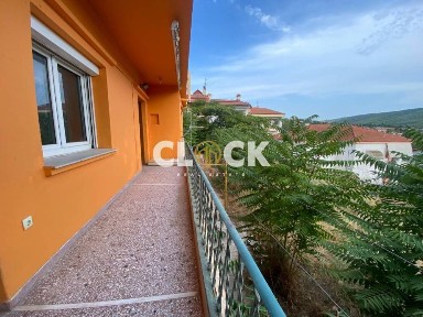 Κέντρο, Πεύκα (Θεσσαλονίκη - Περιφ/κοί δήμοι)