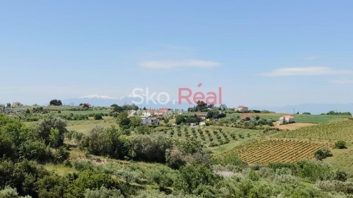 Μονοκατοικία, 280τ. μ.