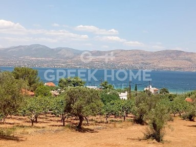Μονοκατοικία, 72τ. μ.