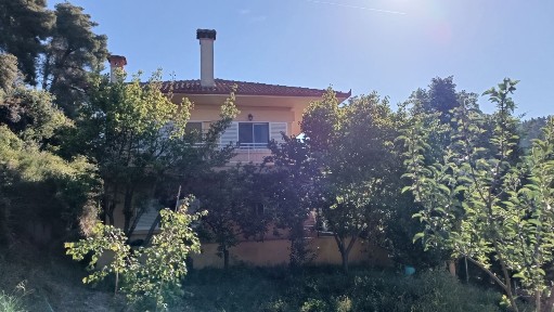 Διαμέρισμα, 72τ. μ.