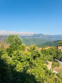 Πενταγιοί, Βαρδούσιοι (Φωκίδα), Επαρχιακή Οδός 8-Κοκκίνου-Αρτοτίνας, 330 56 Βαρδούσια