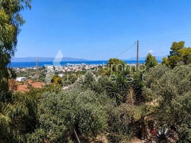Παγώνι, Αίγινα (Νησιά Αργοσαρωνικού), Λαμπαδαρίου Στυλιανού, 180 10 Αίγινα