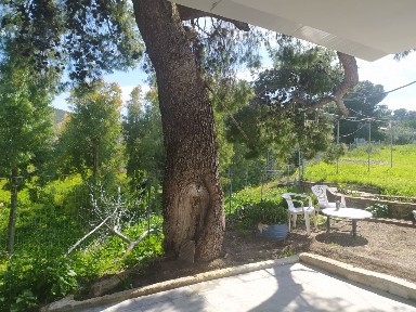 Φάρμα / Ράντσο, 50τ. μ.