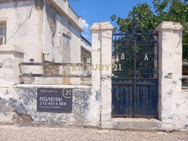 Αμπελάκια, Σαλαμίνα (Νησιά Αργοσαρωνικού)