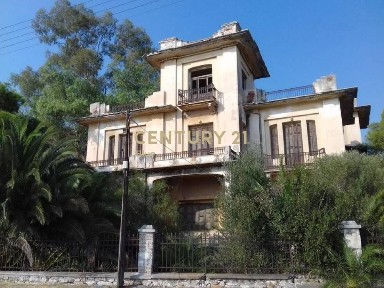 Παλούκια, Σαλαμίνα (Νησιά Αργοσαρωνικού)