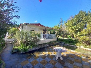 Νέα Μενεμένη, Σαλαμίνα (Νησιά Αργοσαρωνικού)