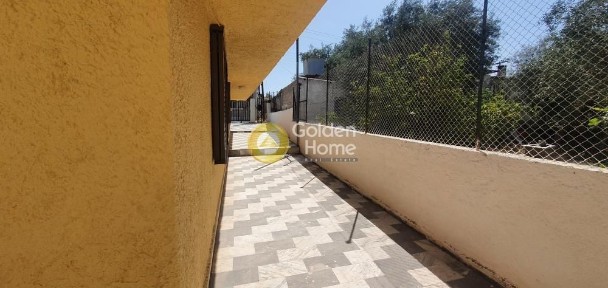 Αγία Παρασκευή, Σαλαμίνα (Νησιά Αργοσαρωνικού)