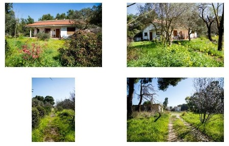 Μονοκατοικία, 545τ. μ.