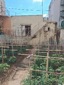Ανθούπολη, Περιστέρι (Αθήνα - Δυτικά Προάστια), Αμοργού 19, Περιστέρι 12135