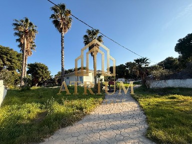 Φυτείες - Αλυκές, Ανθηδώνος (Εύβοια)