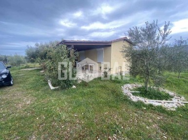 Αλεξανδρούπολη (Έβρος)