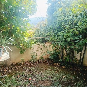 Κέντρο, Γέρακας (Αθήνα - Ανατολικά Προάστια), Σίκινου, Γέρακας Ελλάδα, 15344