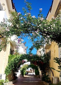 Κέντρο, Γέρακας (Αθήνα - Ανατολικά Προάστια)
