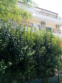Σταυρός Γέρακα, Γέρακας (Αθήνα - Ανατολικά Προάστια)