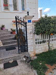 Αρτέμιδα (Λούτσα) (Αθήνα - Ανατολικά Προάστια)