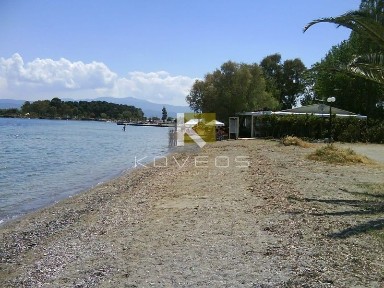 Μαλακώντα, Ερέτρια (Εύβοια)