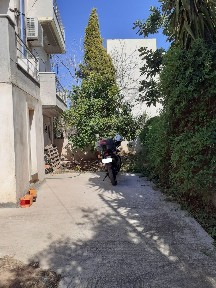 Γαλήνη, Αρτέμιδα (Λούτσα) (Αθήνα - Ανατολικά Προάστια), Πυθαγόρα, 64