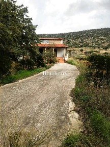 Κίτσι, Κορωπί (Αθήνα - Ανατολικά Προάστια)