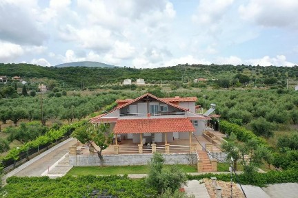 Κέντρο, Πεταλίδι (Μεσσηνία)