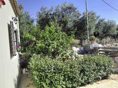 Μονοκατοικία, 80τ. μ.