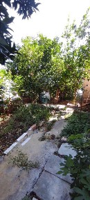 Κέντρο, Ανδρούσα (Μεσσηνία)