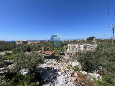 Ρίγκλια, Λεύκτρος (Μεσσηνία)