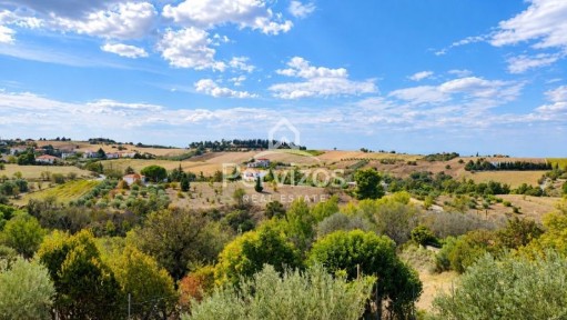 Πλαγιάρι, Μίκρα (Θεσσαλονίκη - Περιφ/κοί δήμοι)