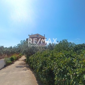 Κίτσι, Κορωπί (Αθήνα - Ανατολικά Προάστια)