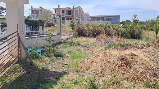 Κέντρο, Αρτέμιδα (Λούτσα) (Αθήνα - Ανατολικά Προάστια)