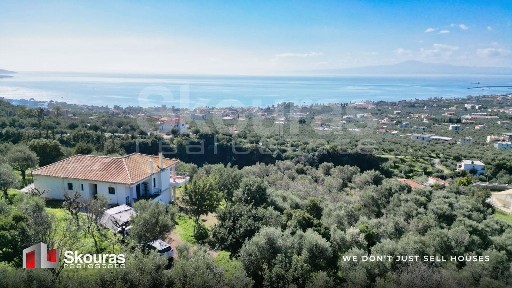 Μονοκατοικία, 280τ. μ.