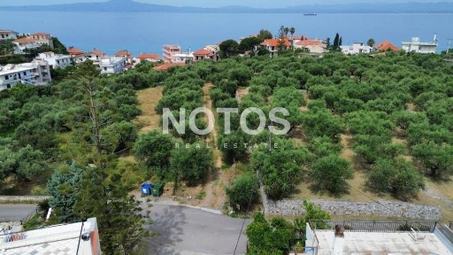 Διαμέρισμα, 40τ. μ.