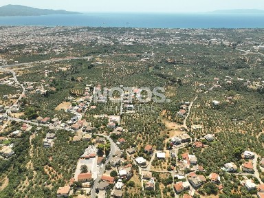 Μονοκατοικία, 203τ. μ.