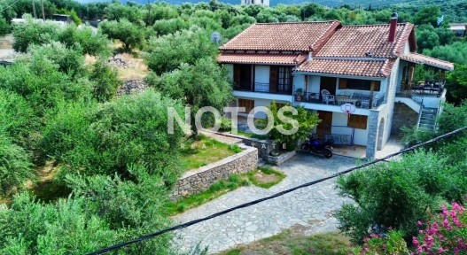 Καλαμάτα (Μεσσηνία)