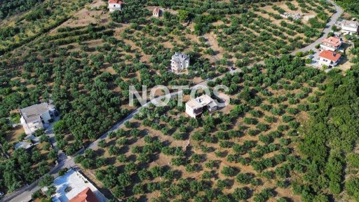 Μονοκατοικία, 210τ. μ.
