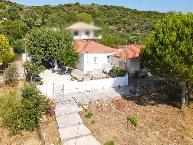 Λογγά, Αίπεια (Μεσσηνία)