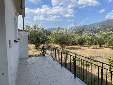Άριο (Μεσσηνία)